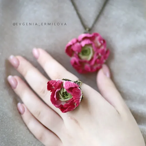 Ranunculus Set